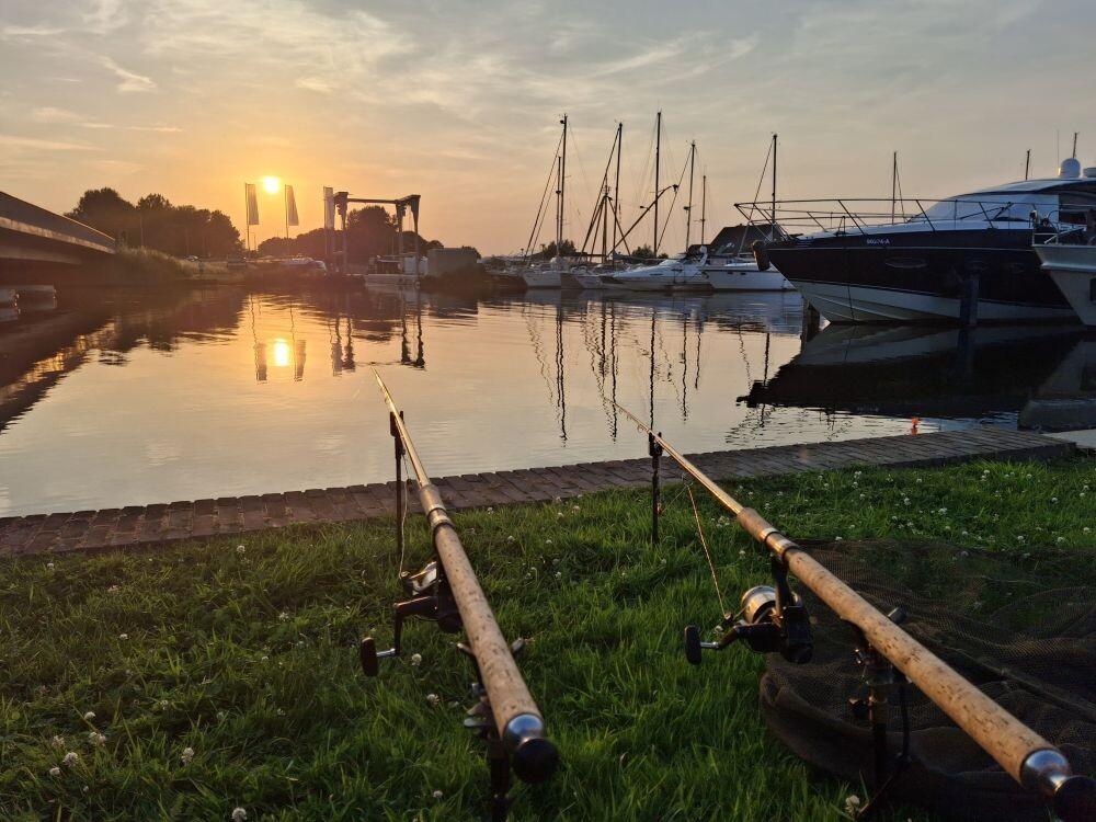 karpervissen in Friesland.